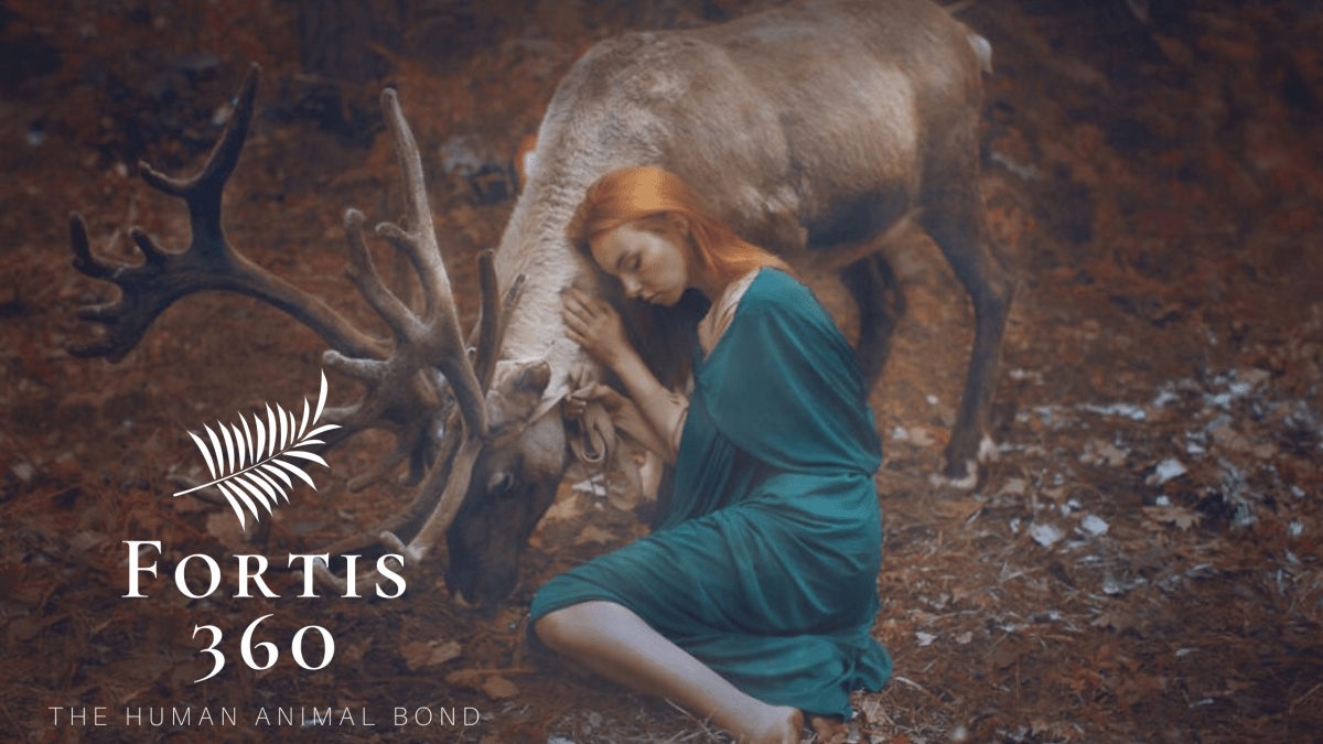 THE HUMAN ANIMAL&nbsp;BOND