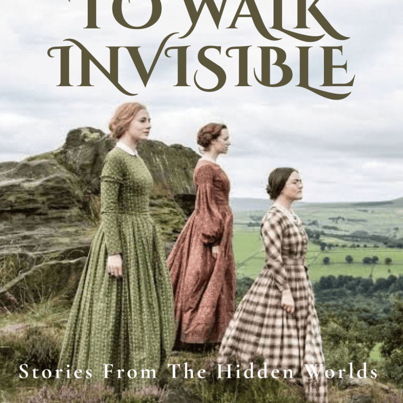 TO WALK INVISIBLE –&nbsp;INTRODUCTION